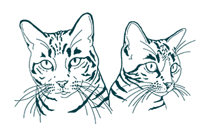 Two hand drawn cat faces side by side on a white background