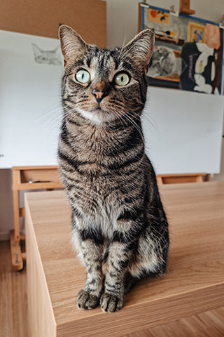 Cat sitting on a wooden desk in the studio of artist Laura J Stratton