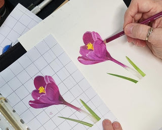 Person drawing a purple flower with a pencil on a piece of paper.
